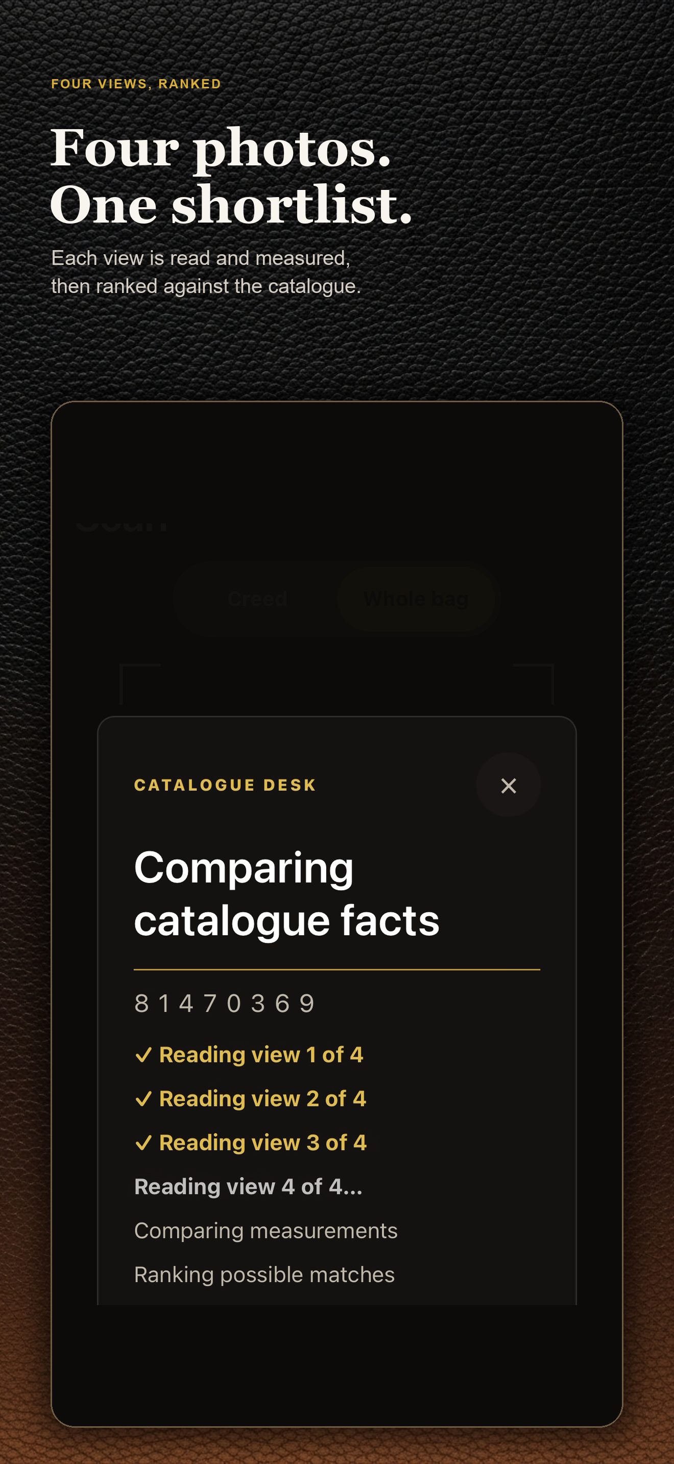 Four bag photographs selected while a catalogue comparison runs